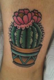 Linea di ragazzi linee geometriche dipinte piante fiori tatuaggi di cactus
