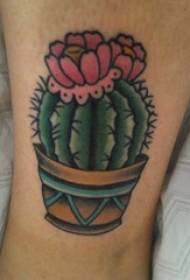 Ang mga lalaki nga linya nagpintal sa mga geometric nga linya nga mga tanum nga mga litrato sa tattoo nga cactus nga tattoo