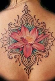 Rôzne krásne maľované abstraktné línie rastlín tetovanie vzory lotosu