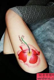 Bellissimo modello di tatuaggio di papaveri di colore per belle gambe di donne