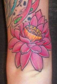 Kadın kol rengi pembe lotus dövme deseni