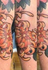 Patrón de tatuaxe de crisantemo Patrón de tatuaxe de crisantemo de varias plantas de tatuaxe pintadas
