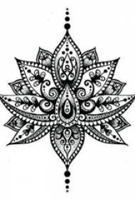 Černá šedá skica žihadlo tipy kreativní nádherné krásné tetování lotosové obrázky