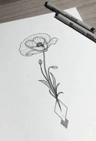 د ساده تور نباتاتو موادو خلاص خلاص لاین ګل ټاټو پاusو