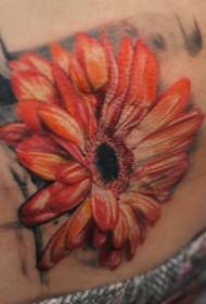 Modello di tatuaggio realistico gerbera color addome