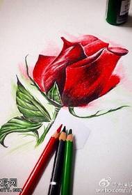 炙热荆棘的红玫瑰手稿纹身图案