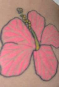 მხრის ვარდისფერი ჰიბისკუსის ყვავილების ტატულის სურათი