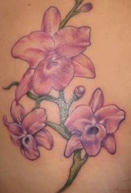 Ženski hrbten bledo roza orhidejski vzorec tatoo