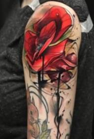18 conxuntos de deseños de tatuaxes de flores de rosa de estilo escolar vermello