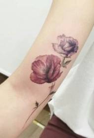 Poppy Tattoos 9 sêwiranên tevlihev û xweşikên poppies