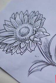 Taispeántas Tattoo, mol lámhscríbhinn tattoo lus na gréine