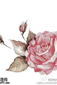 Manuskrypt kolorowych tatuaży różanych