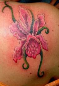 Modello di tatuaggio orchidea realistico colore spalla