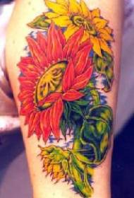 Skuldergult og rødt solsikke tatoveringsmønster
