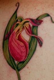 Elegant orchidee tattoo patroon