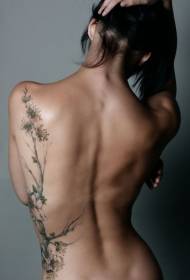 Лијепа тетоважа гране на бресквом задњем дијелу на женским леђима