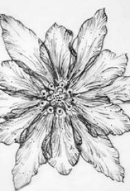 Litrichean sgeidse dubh is liath làmh-sgrìobhainn tatù flùr eireachdail