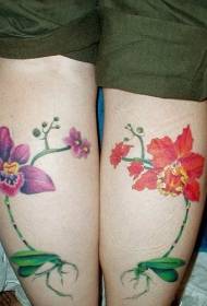 خواتین کی ٹانگیں رنگت والی آرکڈ ٹیٹو پیٹرن