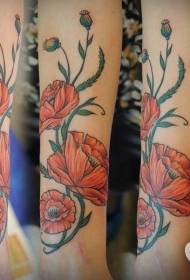 Poppy Tattoo Picture Patrón de tatuaje de amapola delicado y encantador