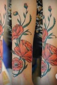 Poppy Tattoo nga Hulagway Maayong ug madanihon nga Poppy Tattoo Pattern