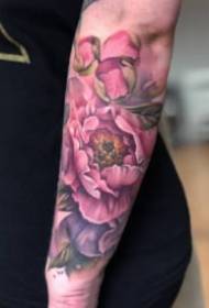 Pink ardaigh tattoo patrún tattoo bándearg ardaigh i stíl dath uisce