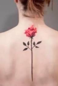 Vurdering av en liten gruppe rosa blomster tatoveringsbilder