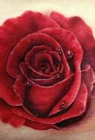 Prekrasan realističan uzorak tetovaže ruža
