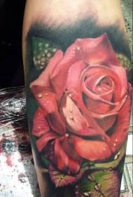 Varren väri realistinen punainen ruusu tatuointi kuva