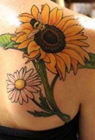 Eng Vielfalt vu gemooltem Aquarell Sketch kreativ Konscht kleng frësch a schéine Sonneblummen Tattoo Muster