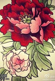 Rangi ya rangi ya kitaifa ya maua peony tattoo muundo wa maandishi