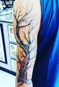 Modello del tatuaggio dell'albero 10 diverse forme sul modello del tatuaggio dell'albero