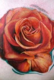 Lepa realistična tetovaža rdeče vrtnice na rami