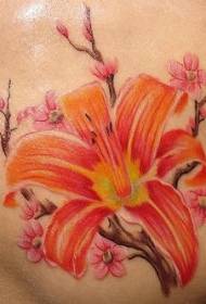 Krūtinės spalvos lelijos ir sakura tatuiruotės modelis