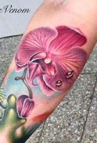 Una variedad de acuarela pintada boceto creativo literario hermoso delicado tatuaje de flores