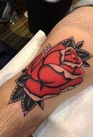 Ragazzo di vitellu dipinte à l'aquarellu schizzu bella stampa di tatuaggi di rose