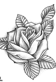 Black gray sketch rose tattoo manuscript picture