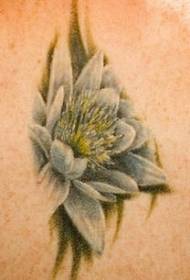 Šareni realistični uzorak tetovaže ljiljana na leđima