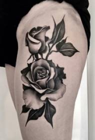 Dievčenské stehná na čierne sivom náčrte bodu bodajú zručnosti kreatívne krásne jemné jemné ruže tetovania