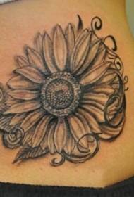 Immagine posteriore creativa del tatuaggio del girasole di abilità della spina del punto di schizzo grigio nero posteriore della ragazza