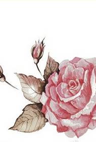 Imagen atractiva del modelo del manuscrito del tatuaje colorido de la rosa de la moda