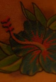Xiav hibiscus tattoo qauv