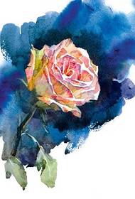 超級美麗的玫瑰紋身手稿欣賞