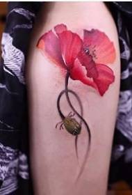Poppy Tattoos: Un magnificu set di disegni di tatuaggi di papaveri rossi