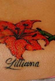 Padrão de tatuagem de flor de lírio de cor de barriga