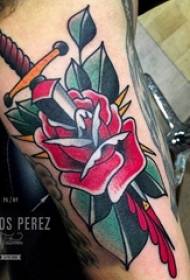 Evropske in ameriške rose tetovaže, številne majhne sveže literarne tetovaže, evropski in ameriški vzorci tetovaže vrtnic