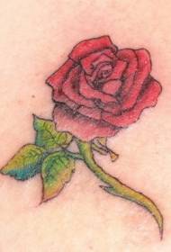 Rameno farebne červené ruže tetovanie vzor