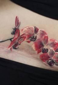 Lub plab ntxim nyiam ntxim nyiam lub teeb liab orchid tattoo qauv