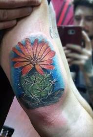 Färgglada kaktus tatuering mönster i arm realistisk stil