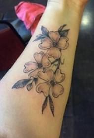 Girl's arm on black gray sketch point thorn trick creative flower tattoo picture