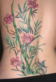 Patró de tatuatge de bambú i orquídia de colors